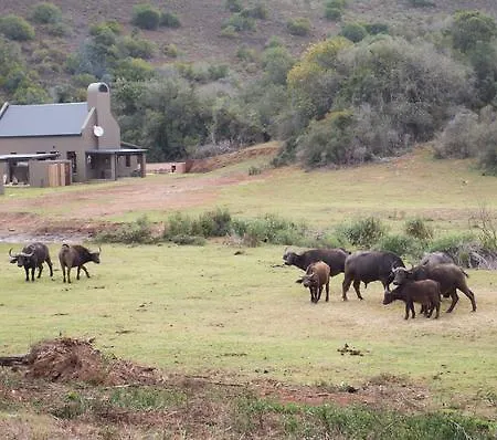 Botlierskop Bush Villas Sandhoogte Exterior photo