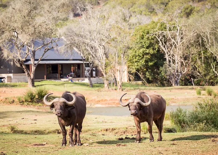 Botlierskop Bush Villas