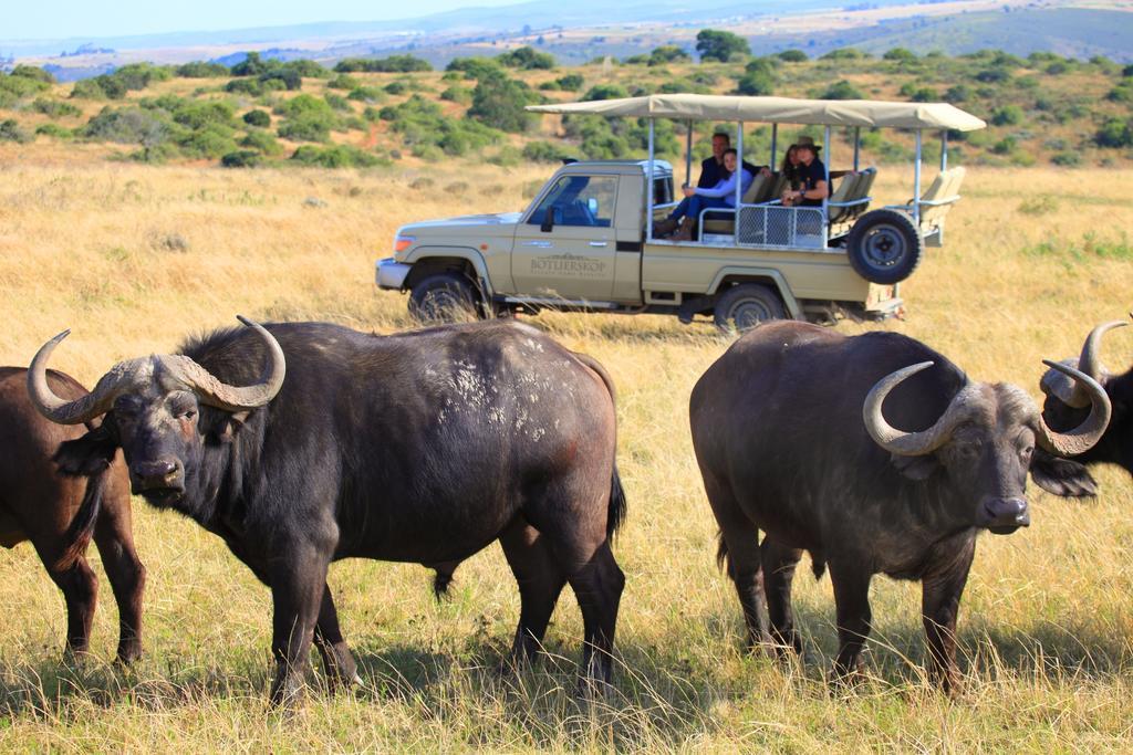 Botlierskop Bush Villas * Sandhoogte