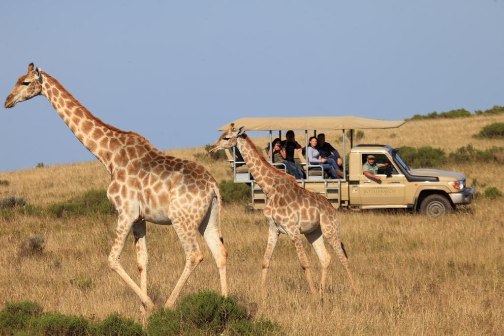 Botlierskop Bush Villas Sandhoogte