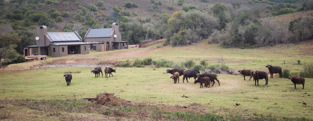 Botlierskop Bush Villas * Sandhoogte