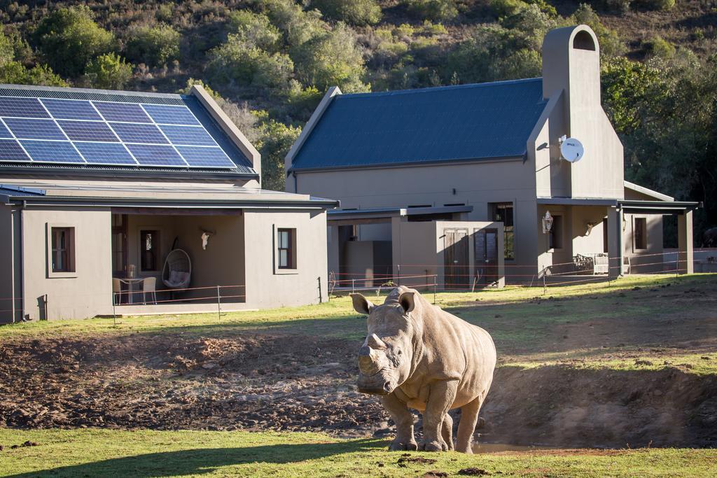 Botlierskop Bush Villas Villa *