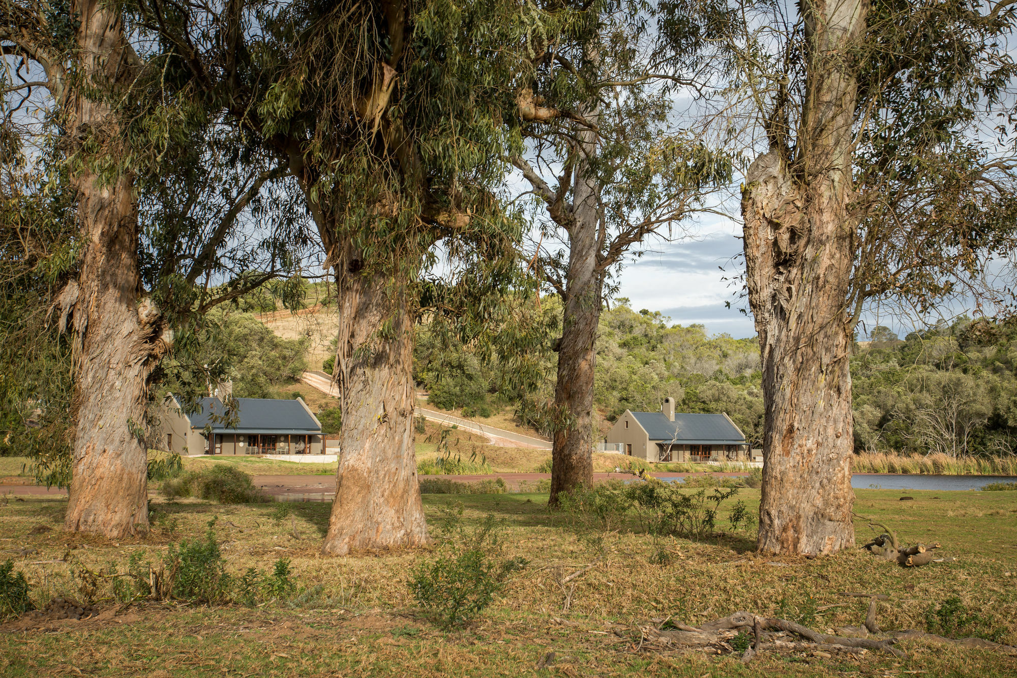 Botlierskop Bush Villas